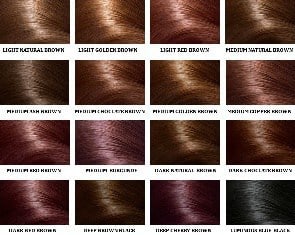 Medium Golden Brown Hair Color Ion