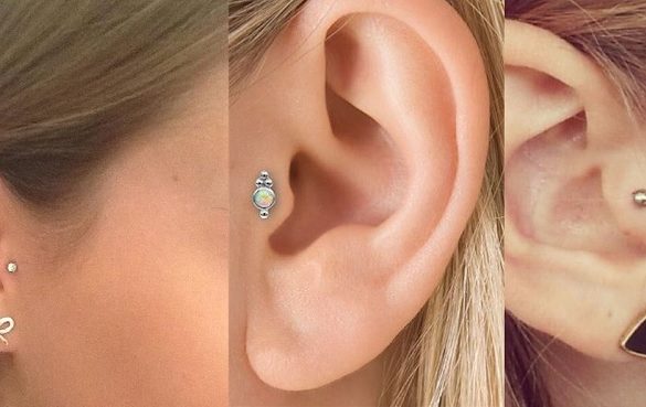 Antitragus Piercing Jewelry Pictures Rejection Pain Healing And 