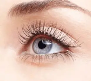 Do Eyelashes Grow Back, if Cut, after Lash Extensions ...