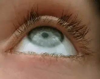 eyelashes grow cut burnt extensions fall lash why plucking eyelash pulled pull them extension fast longer reasons beautyclue apart