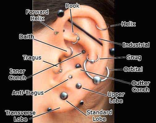 Ear piercing Types – Tragus, antitragus, Industrial, Daith, Earlobe